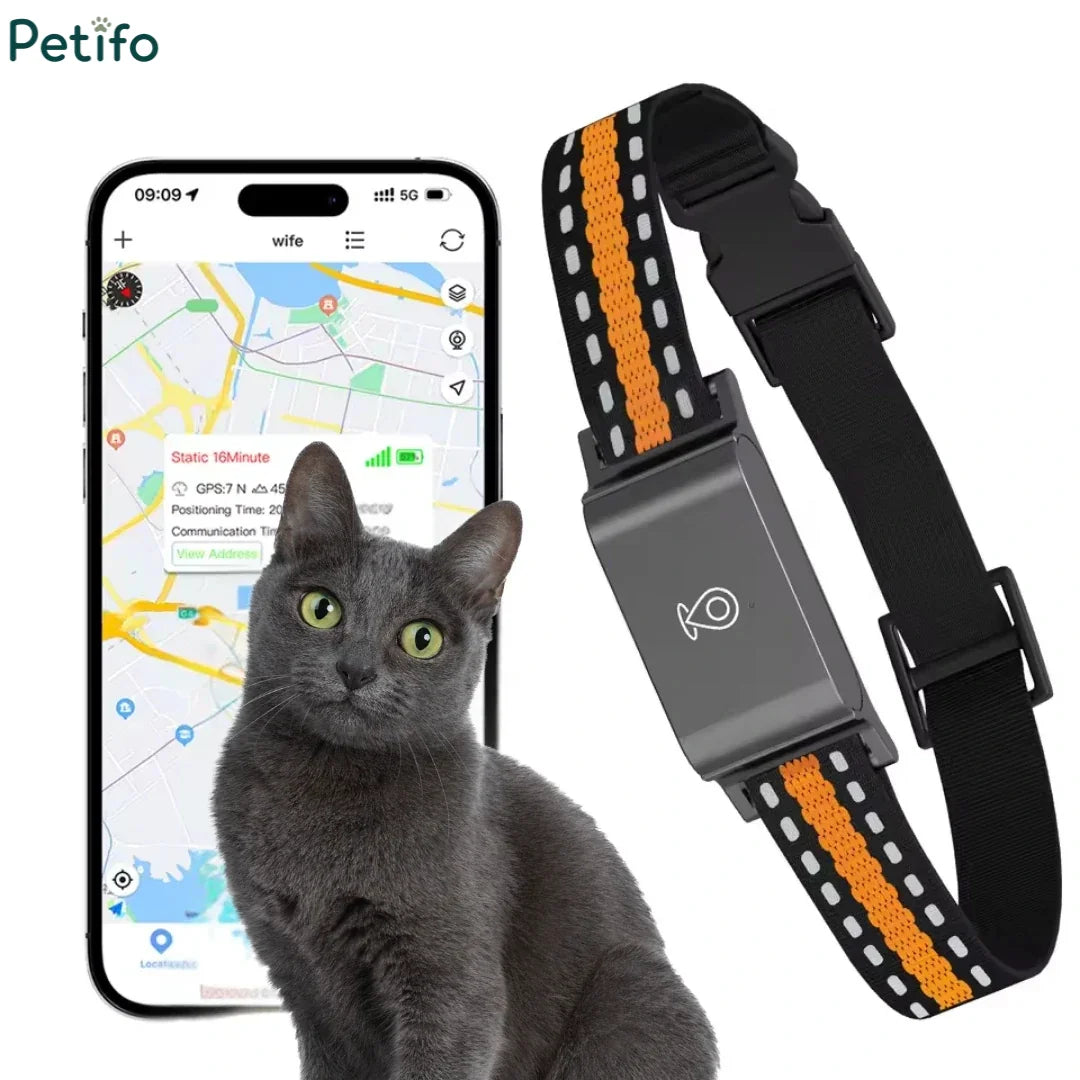 Product marketing graphic showing a smartphone tracking interface alongside a grey cat and an isolated view of the black and orange reflective GPS pet collar.