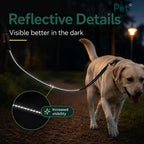 Dog walking at night on a dark path with a highly reflective stitched dog leash for enhanced low-light visibility.