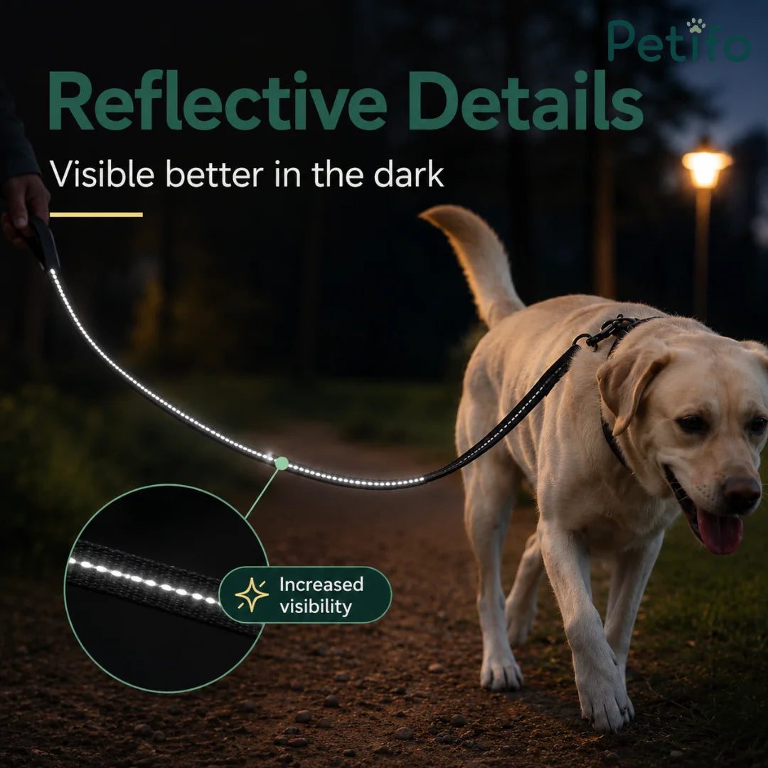 Dog walking at night on a dark path with a highly reflective stitched dog leash for enhanced low-light visibility.