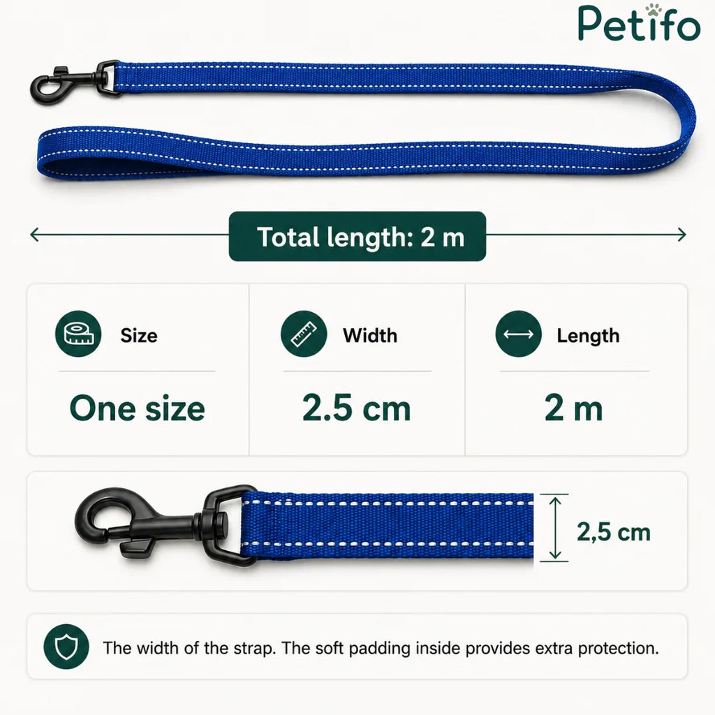 Technical diagram displaying the specifications of a 2-meter long, 2.5 cm wide blue dog leash with protective padding