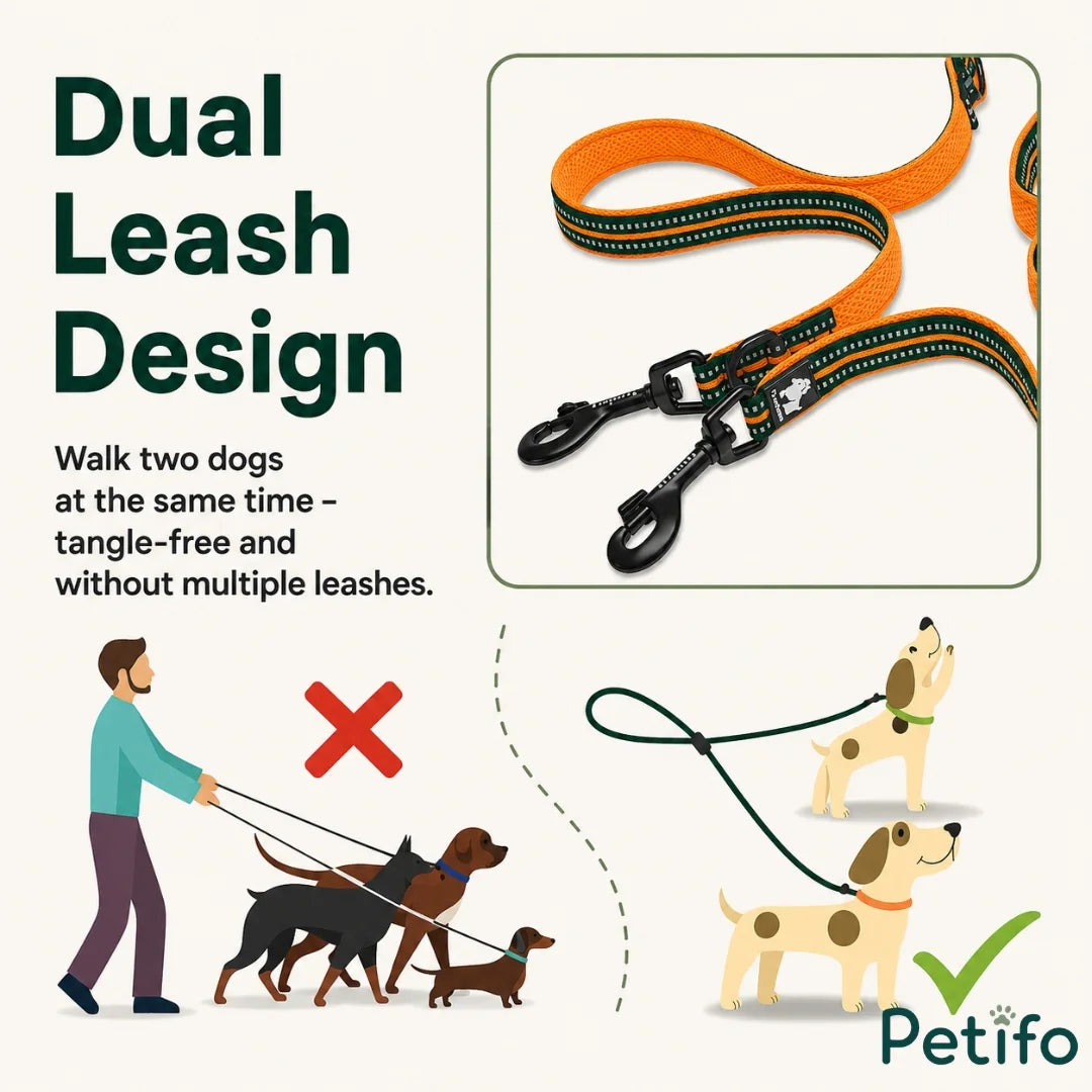 Infographic demonstrating the tangle-free Petifo dual dog leash design for walking two dogs simultaneously.