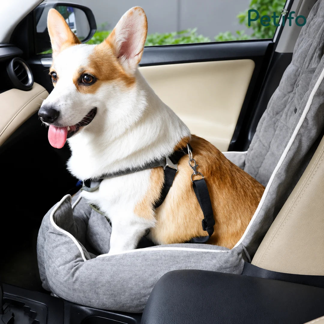 A corgi dog enjoying a safe and relaxed ride while sitting in a grey, plush Petifo pet car seat installed in a vehicle.