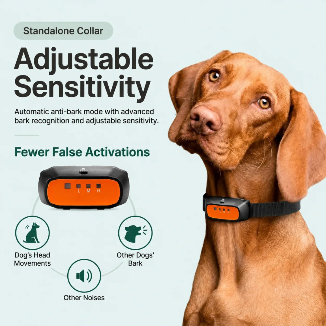Remote control pairing capability for up to two dog collars.