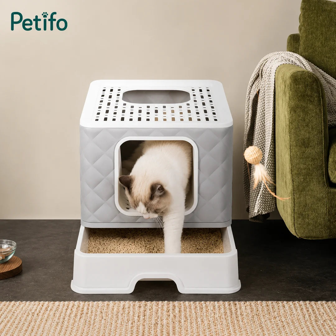 A cat exiting a Petifo top-entry litter box in a cozy living room, showcasing the removable tray design.