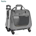 Collapsible grey pet carrier with a retractable handle and mesh ventilation designed for pet travel convenience.