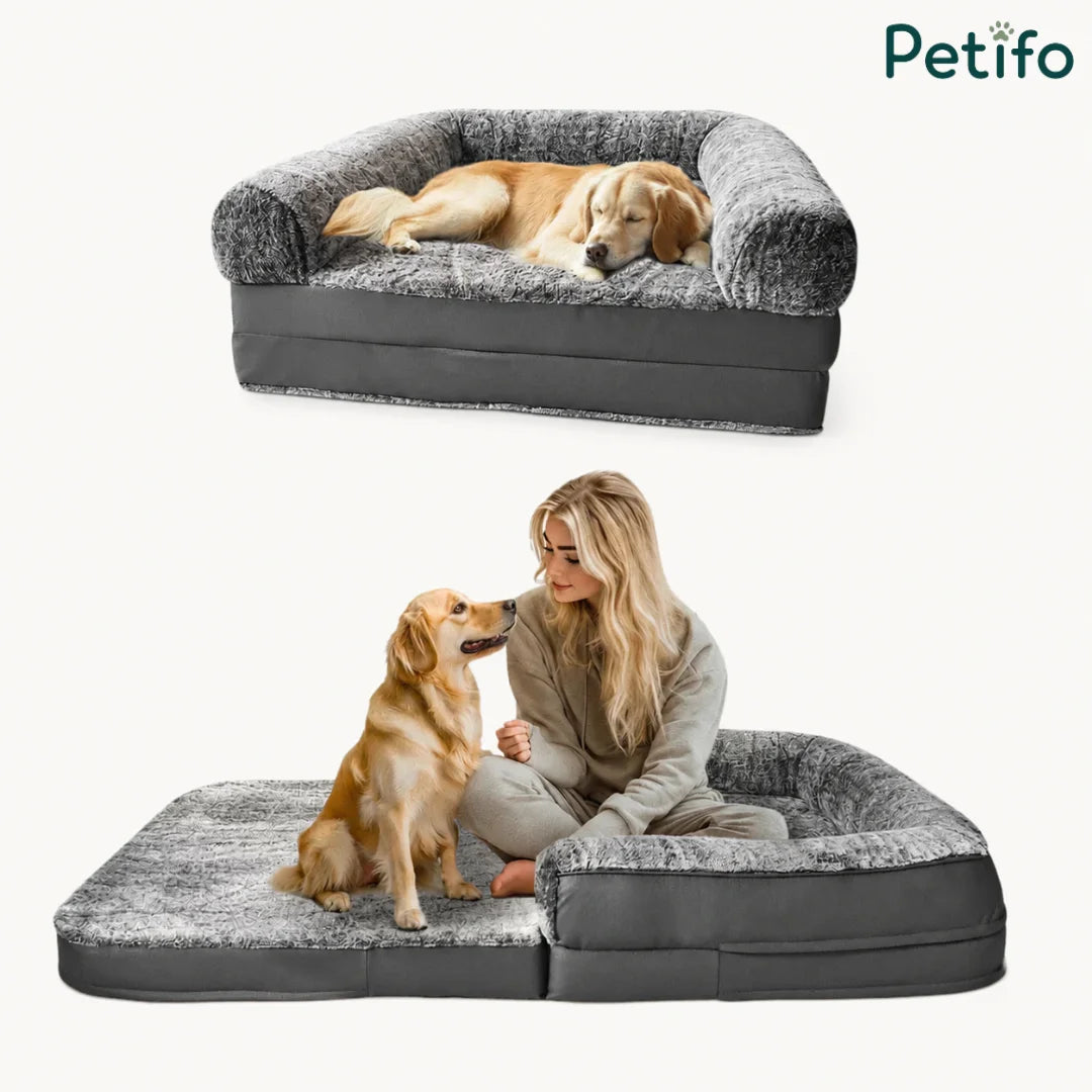 A golden retriever relaxing on a plush dog sofa and a woman sitting on the same bed folded flat, demonstrating its versatile design.