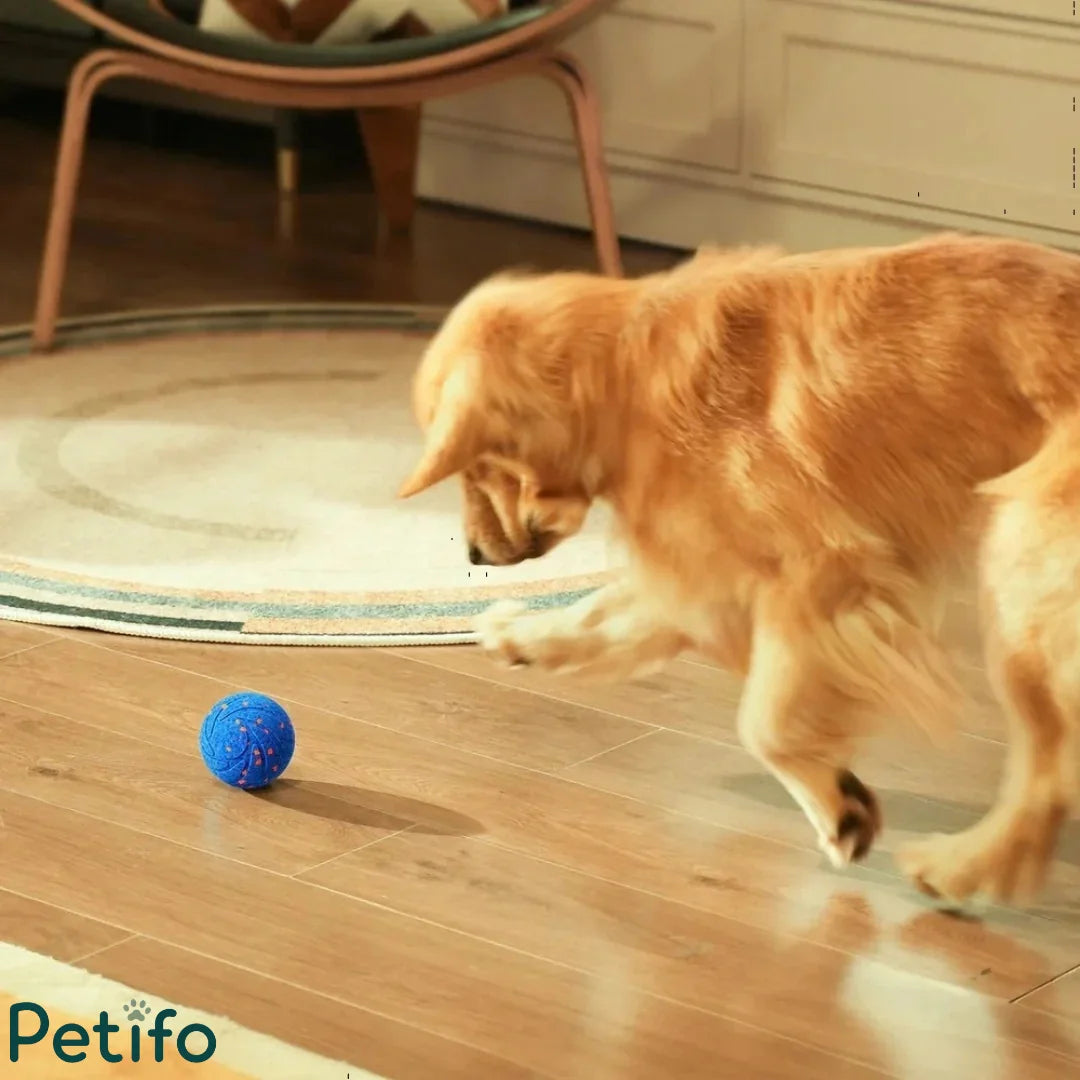 Golden retriever playfully batting at a moving blue activity ball on a wooden floor indoors.