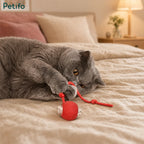 A fluffy grey cat playing with a red electronic rolling ball toy on a cozy beige bed.
