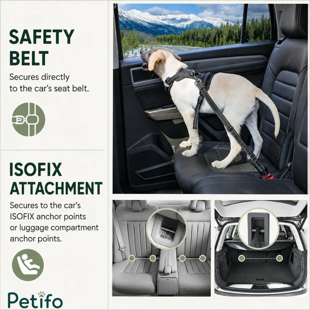 Demonstration showing safety belt and ISOFIX attachment options secured in a vehicle.