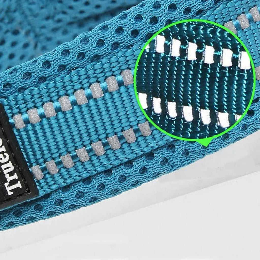 A close-up detail shot of the reflective safety stitching on a blue mesh dog collar.