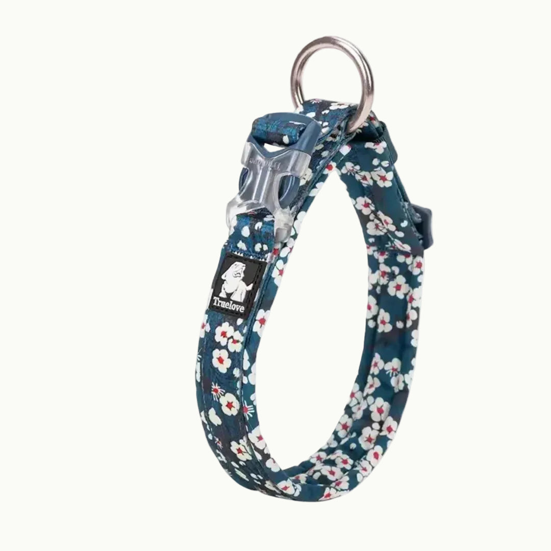A studio product shot of the Saxony Blue floral Petifo dog collar featuring a quick-release buckle and sturdy metal ring.