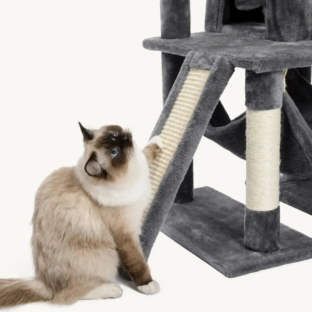 A cat reaching up to play with a scratching ramp on a dark grey multi-level cat activity tower.