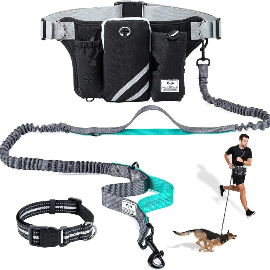 Hands-free running dog leash set featuring a multi-pocket waist belt, shock-absorbing bungee lead, and matching collar.
