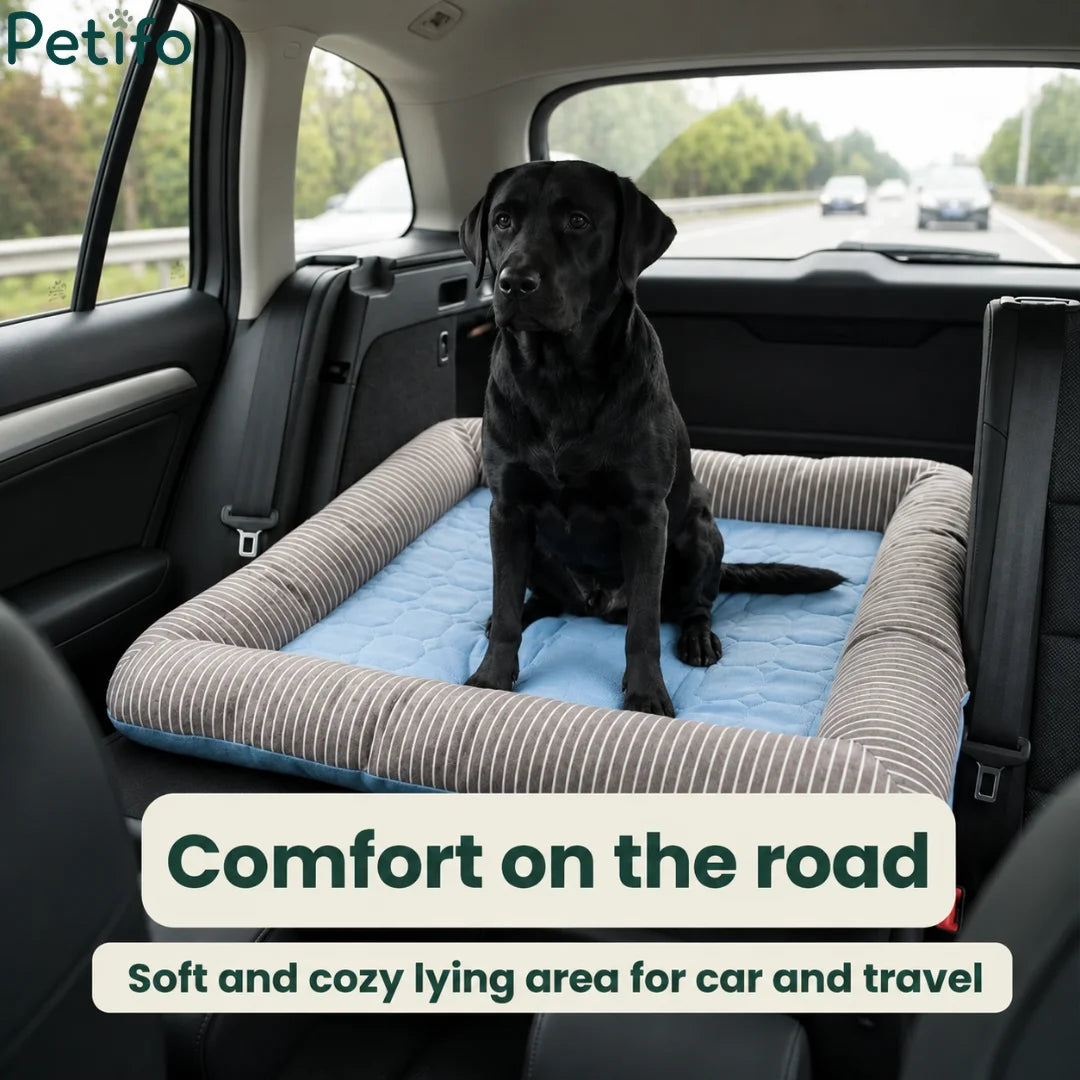 A black labrador sitting comfortably on a cooling pet bed installed in the back seat of a car for travel.