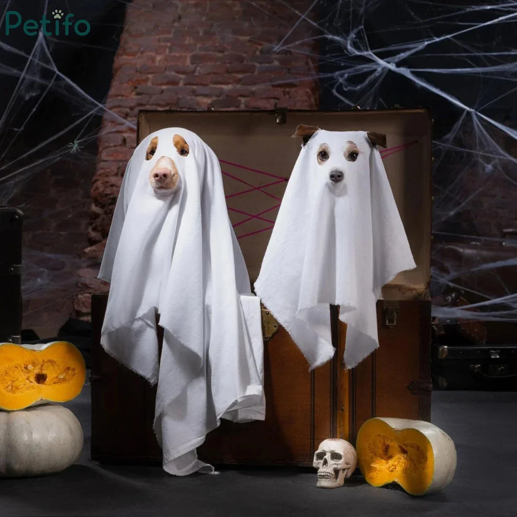 Two dogs wearing white ghost costumes sitting near an open vintage trunk surrounded by carved pumpkins and a skull prop in a spooky room.