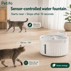 Smart motion sensor controlled cat water fountain activating automatically when a pet approaches.
