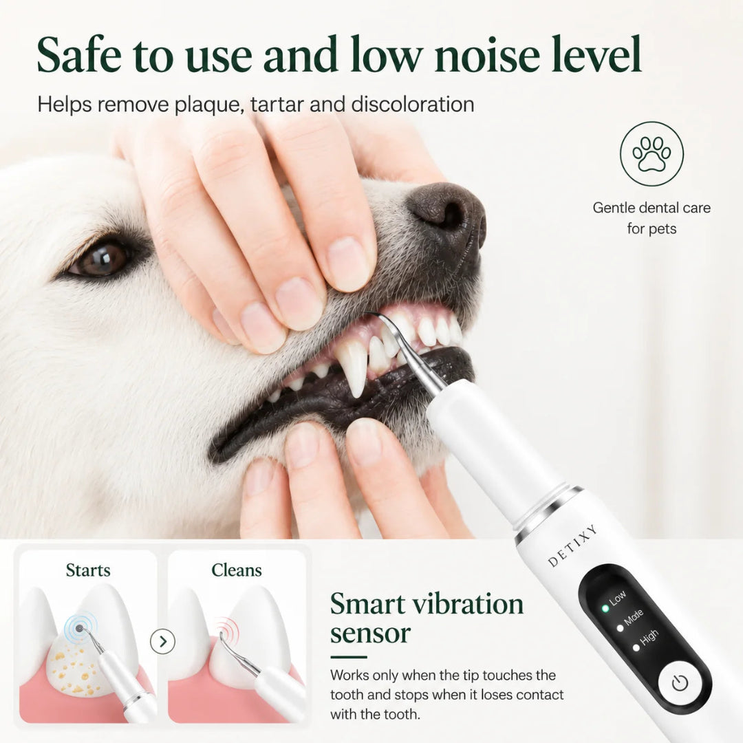 Detixy pet dental scraper demonstrating its smart touch sensor technology that automatically stops vibrations upon contacting a dog's gums.