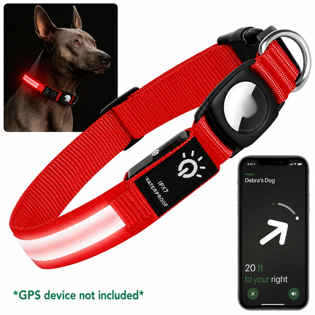 Red LED dog collar with an AirTag holder displayed alongside a smartphone tracking app screen and a dog wearing the glowing red collar.