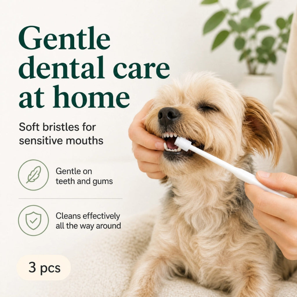Small dog getting its teeth brushed at home with a soft-bristle gentle pet toothbrush.