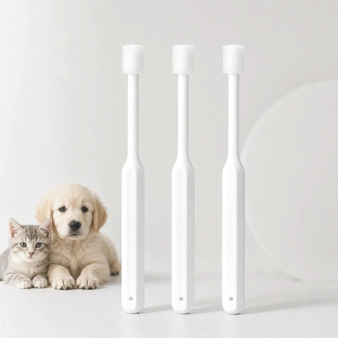 Three white silicone pet toothbrushes next to a fluffy golden retriever puppy and a grey kitten.