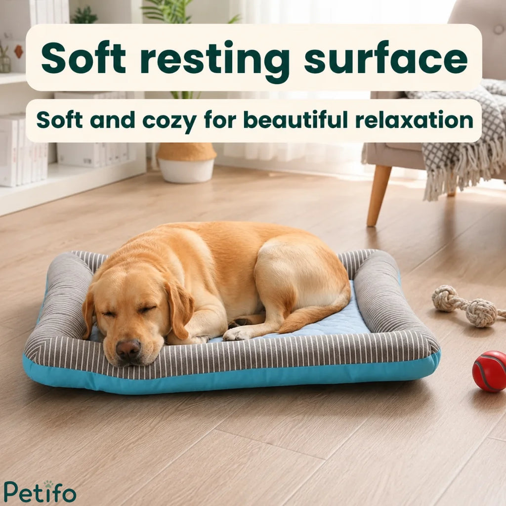 A yellow labrador sleeping peacefully on a soft and cozy cooling pet bed in a brightly lit living room.