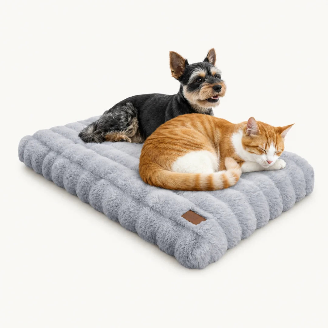Soft Dog Mattress - Petifo