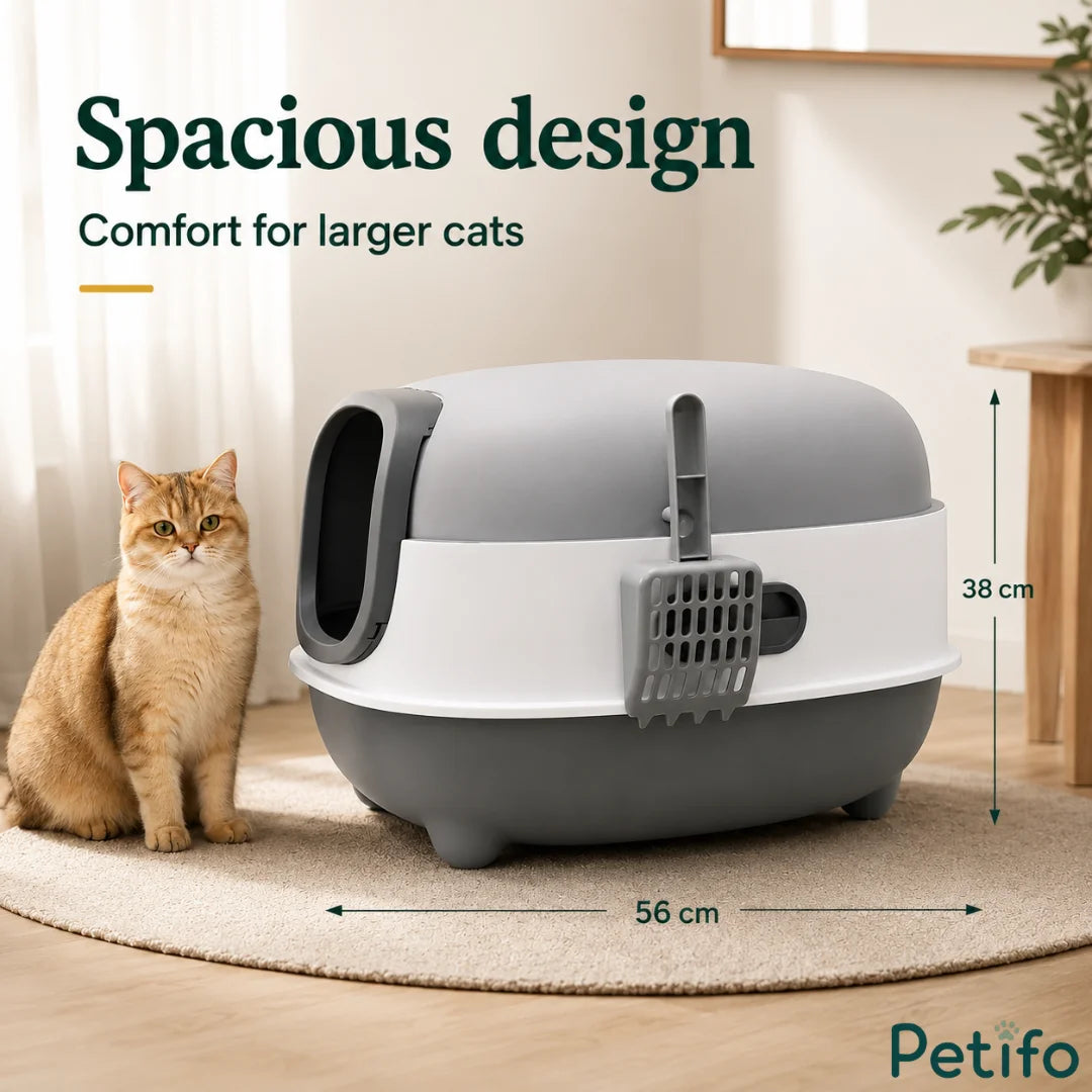 Large cat sitting next to the spacious grey and white enclosed litter box featuring height and length dimension markers.