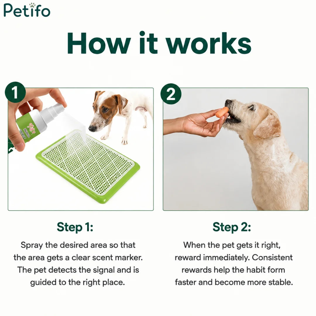 Step-by-step guide showing how to spray a potty tray and reward a dog during house training.