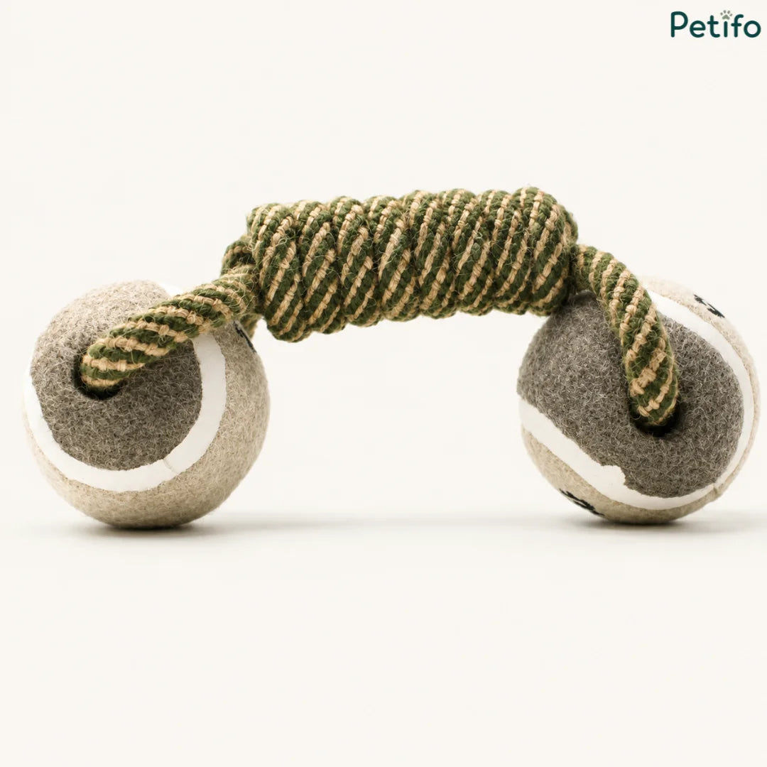 Studio product shot of the Petifo green and grey tennis ball dog chew toy on a clean white background.