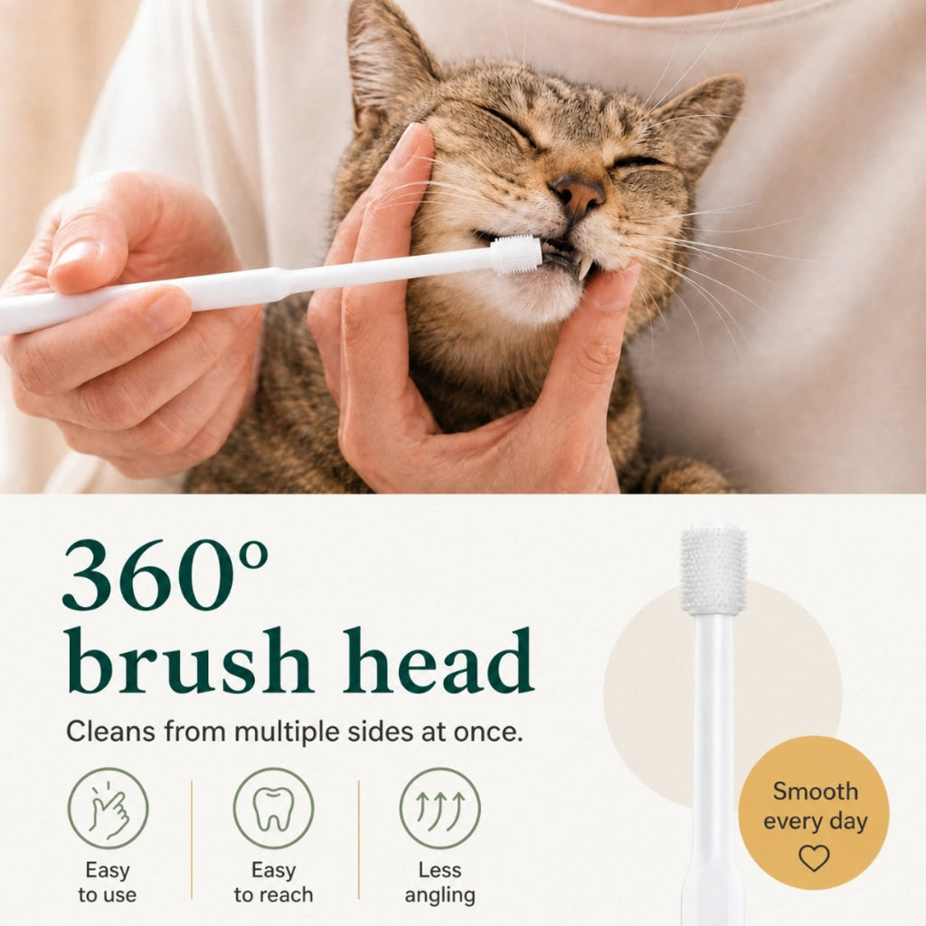 A person using a 360-degree pet toothbrush to clean a brown tabby cat's teeth.