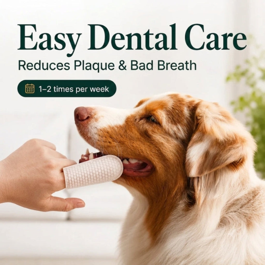 TailCare dental cleaner for dogs and cats with 50 dental wipes - Petifo