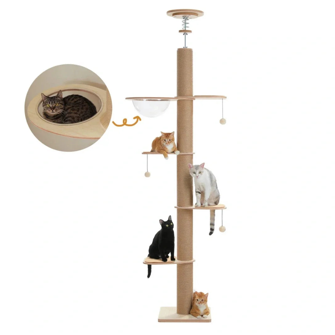 Floor-to-ceiling cat tree with adjustable height - Petifo