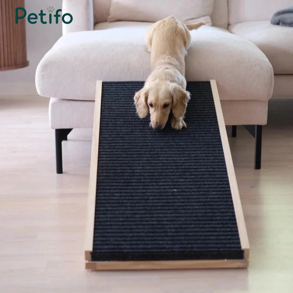 A small dog standing on a sofa next to a wooden pet ramp with a dark, non-slip textured surface.