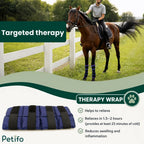 Horse wearing therapeutic cold wraps standing next to an equestrian rider in a pasture.