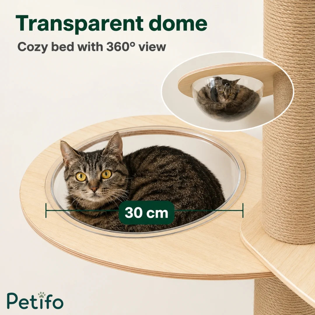 Comfortable transparent dome bed for cats on a cat tower.
