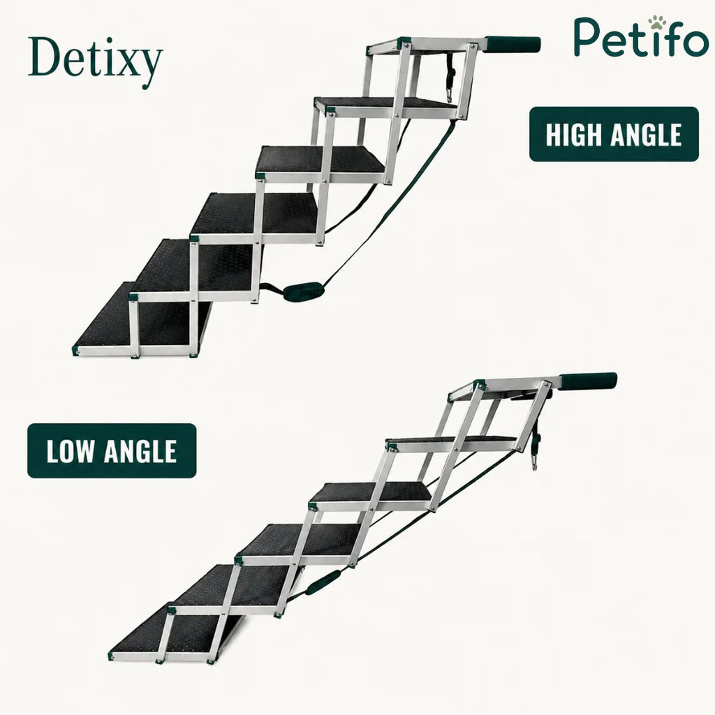 Two views of Detixy pet stairs showing high-angle and low-angle setup configurations for cars.