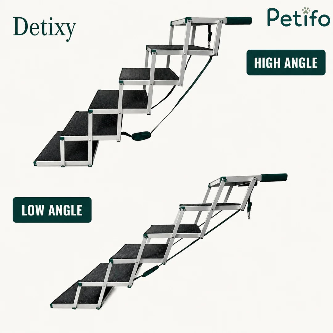Two views of Detixy pet stairs showing high-angle and low-angle setup configurations for cars.