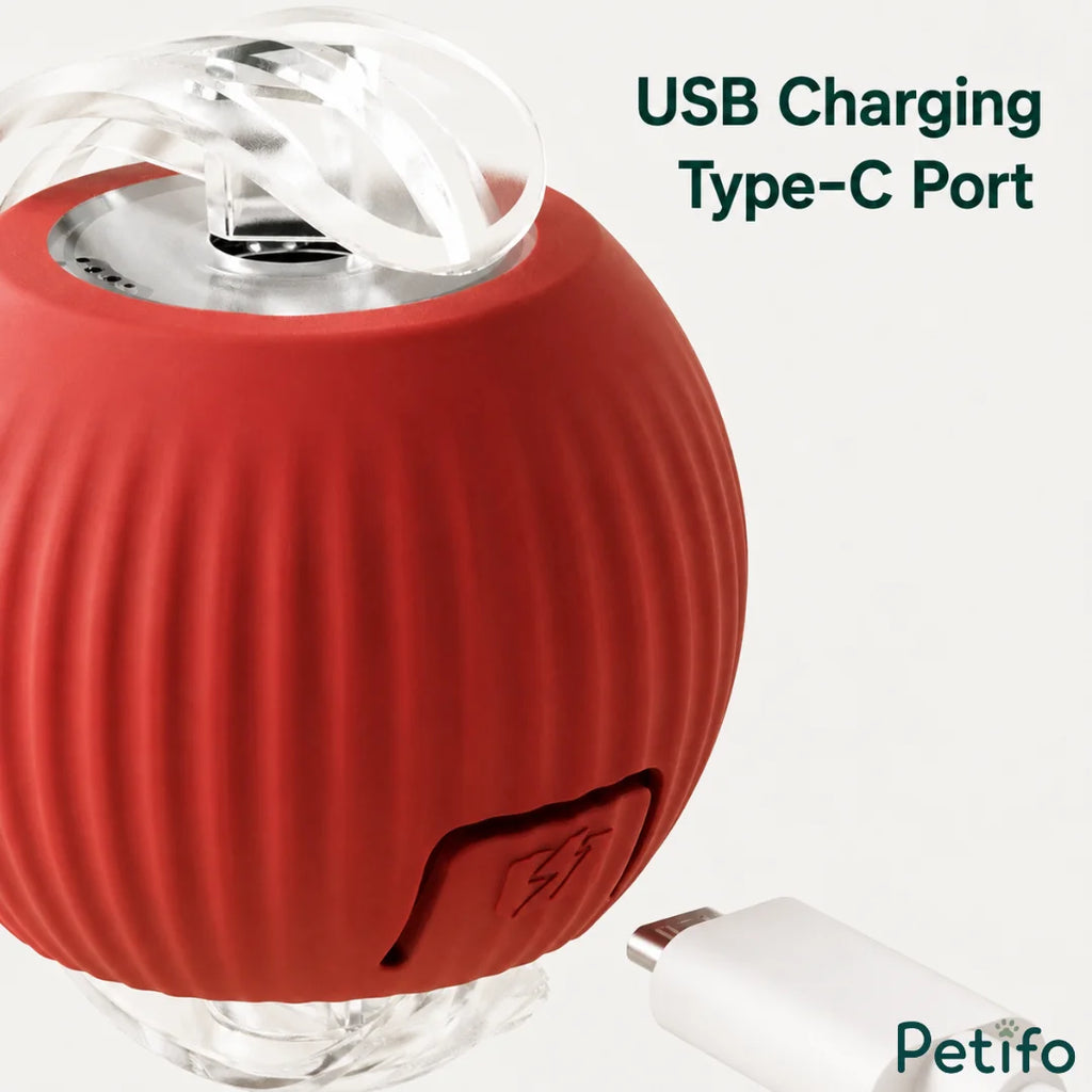 Close-up view of the USB Type-C charging port opening on the red automated cat toy.