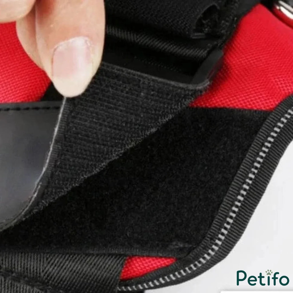 Close-up showcasing the adjustable velcro strap on a red and black dog harness.