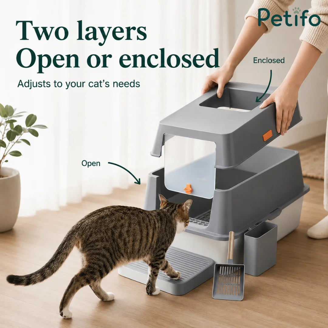 Versatile two-layer cat litter box that converts between open and enclosed styles to suit individual cat preferences.