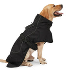 Labrador retriever sitting and wearing a black waterproof winter dog coat with a high collar.