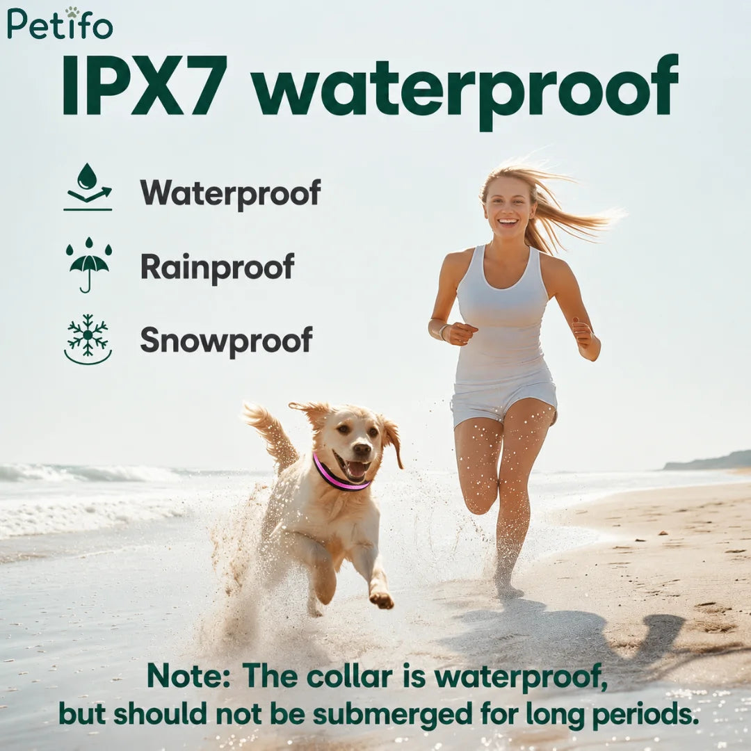 Woman running on the beach with her dog wearing a waterproof LED collar, highlighting IPX7 waterproof, rainproof, and snowproof ratings.