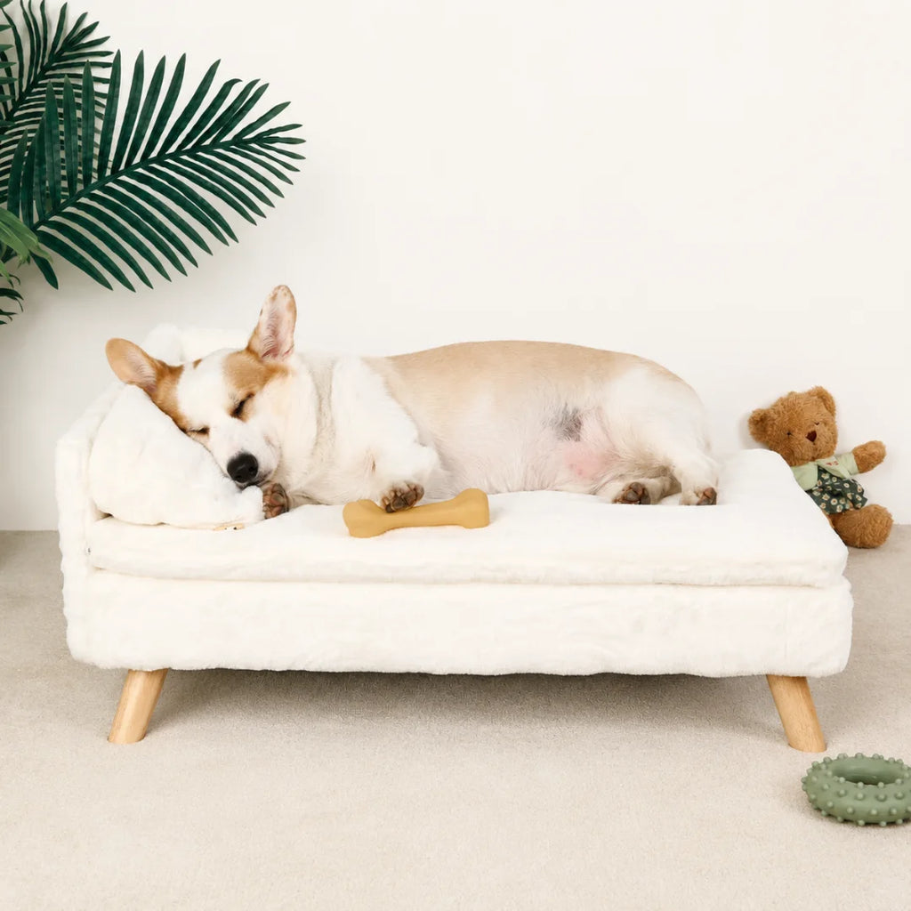 A premium white, plush pet sleeping sofa with wooden legs, designed for comfort and style.