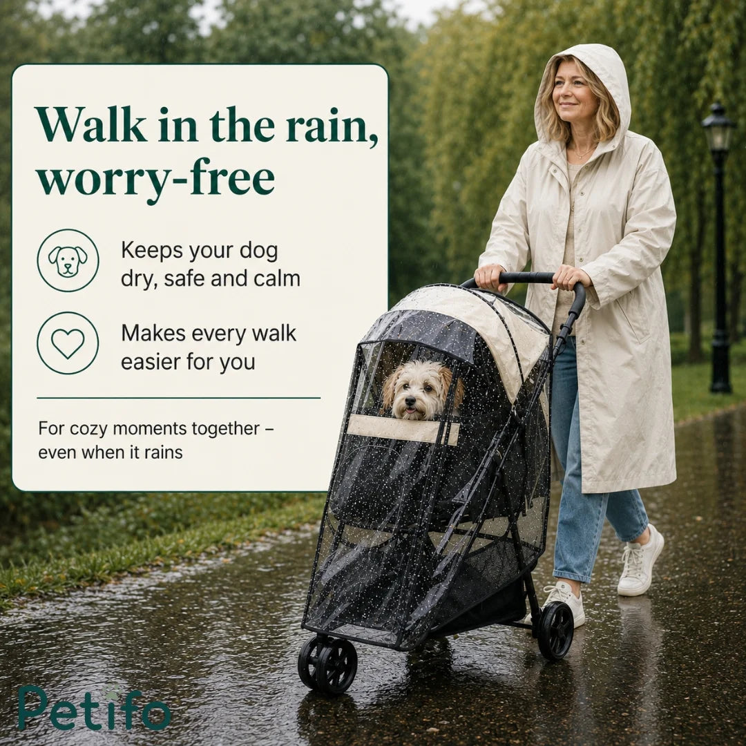 Woman walking a small dog in a Petifo stroller with a transparent rain cover.