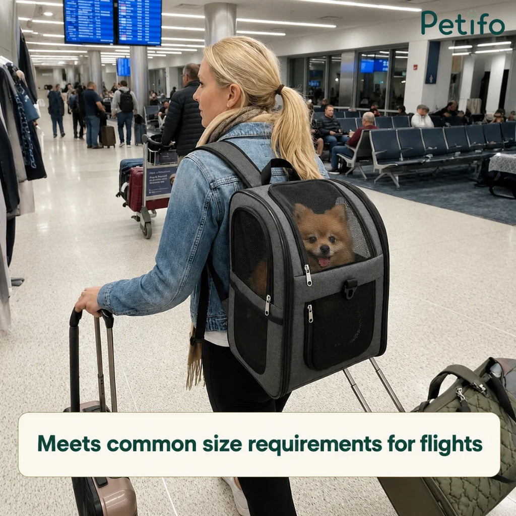 Woman walking through an airport terminal carrying a small dog inside a gray pet travel backpack that meets common flight size requirements.