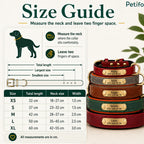 Detailed size guide infographic showing measurement instructions, a sizing table from XS to XL, and a stacked display of collars in different colors.