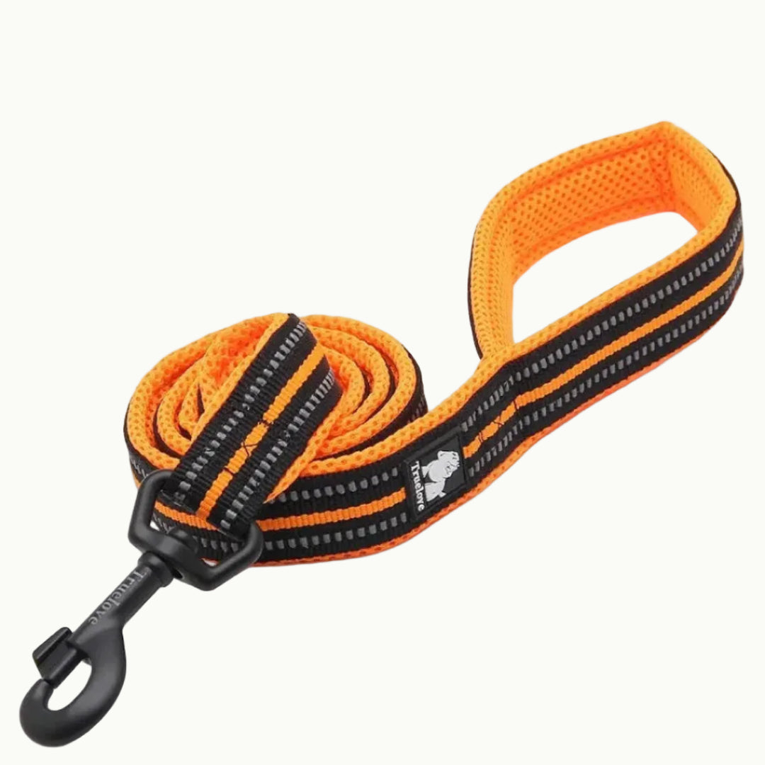 A Yellow TrueLove Reflexfit reflective dog leash with a padded handle and durable metal clip.