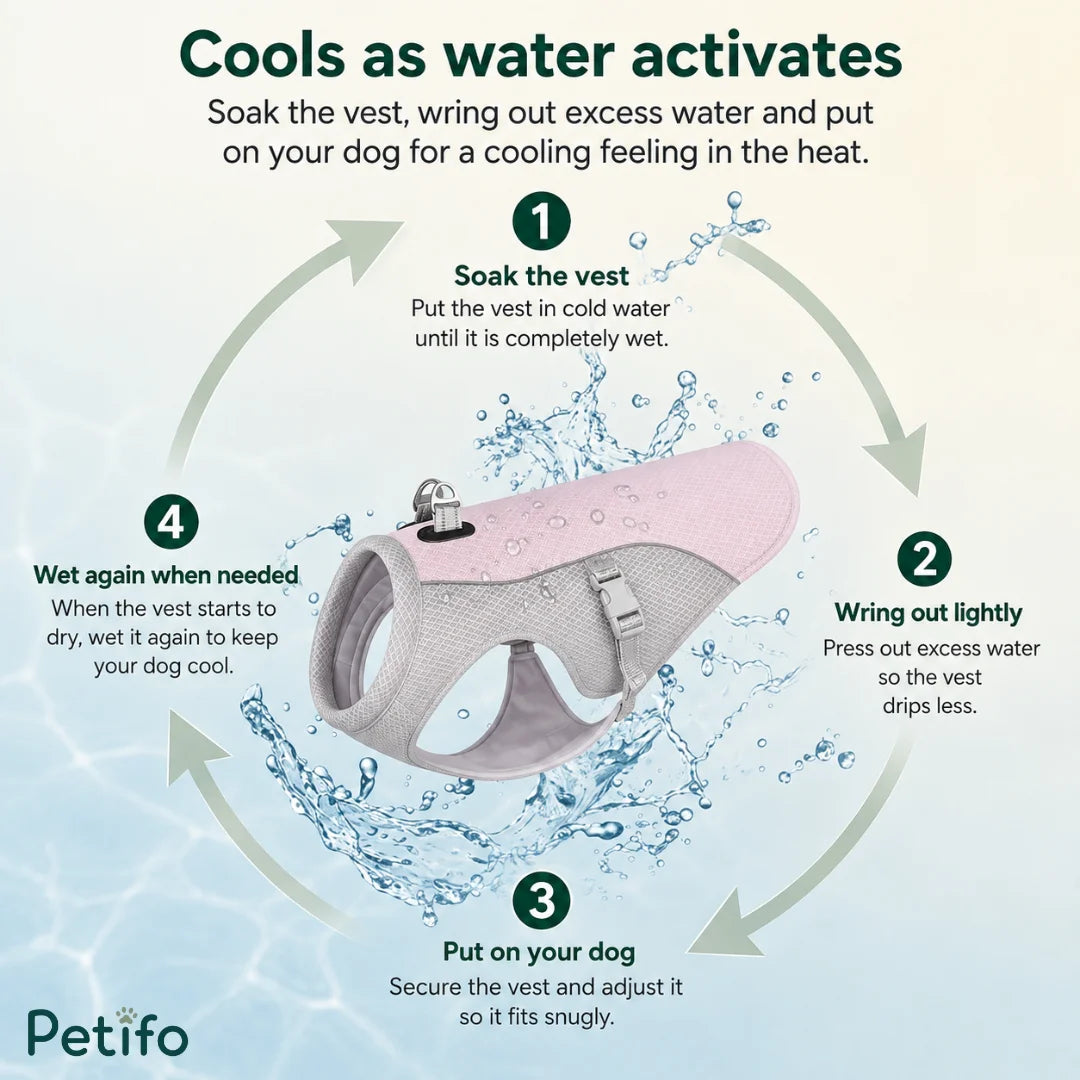 Diagram showing the four simple steps to activate and use the dog cooling vest.