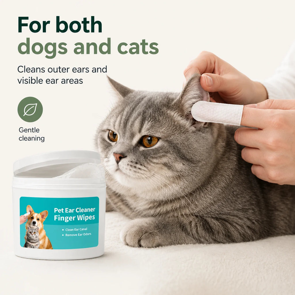 A person gently cleaning a grey tabby cat's ears using a soothing pet ear care finger wipe.