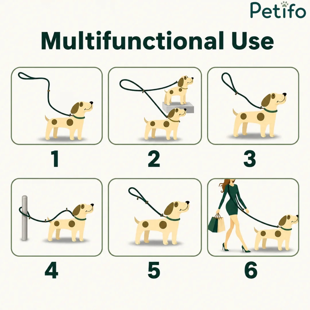 Infographic illustrating six different hands-free and tethering configurations for the Petifo multifunctional dog leash.
